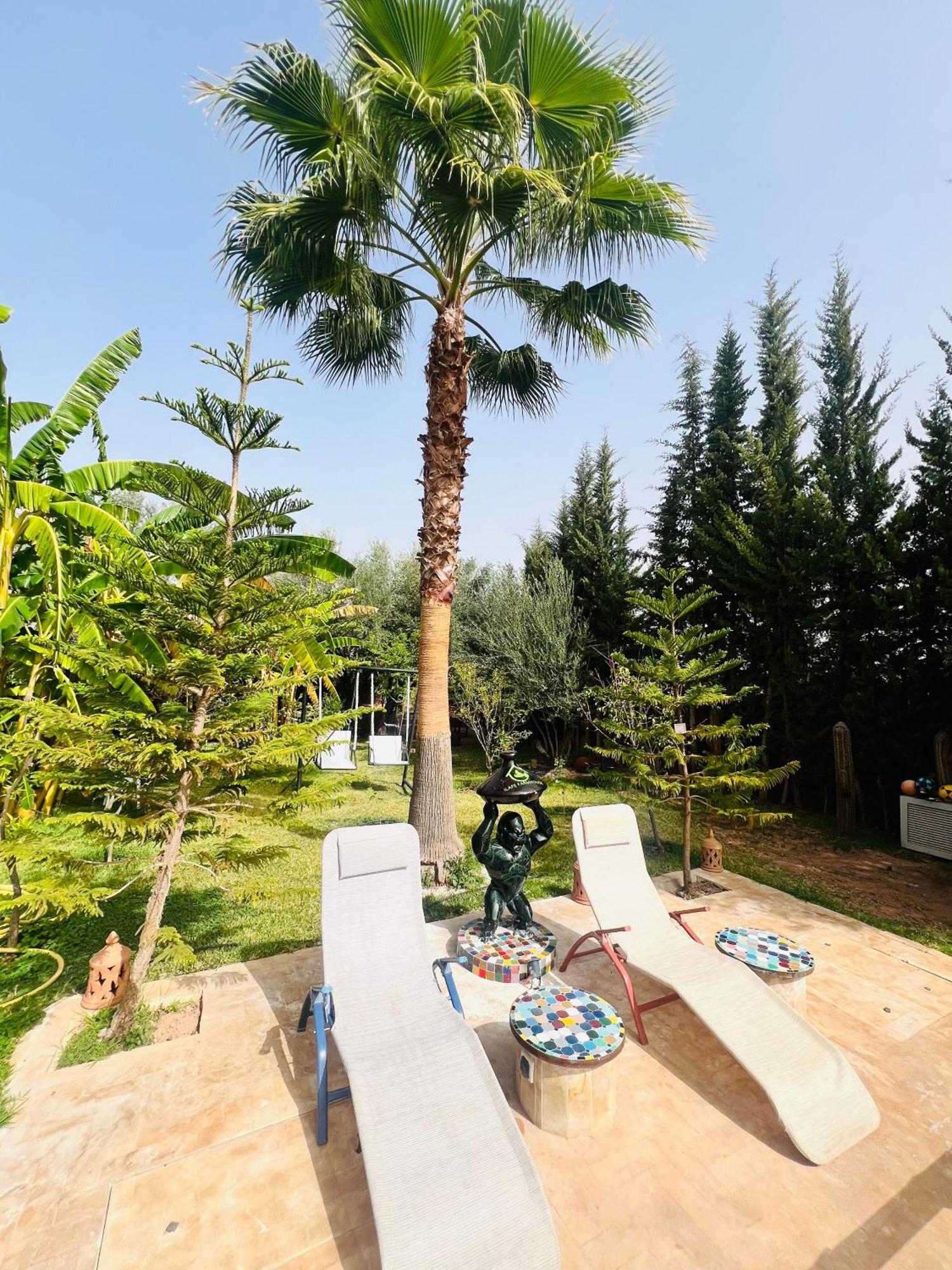 Ilafe Farmhouse, Villa Avec Piscine Chauffee Privee Et Jacuzzi Pour Familles Марракеш Экстерьер фото